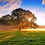 Avatar de Iván Téllez